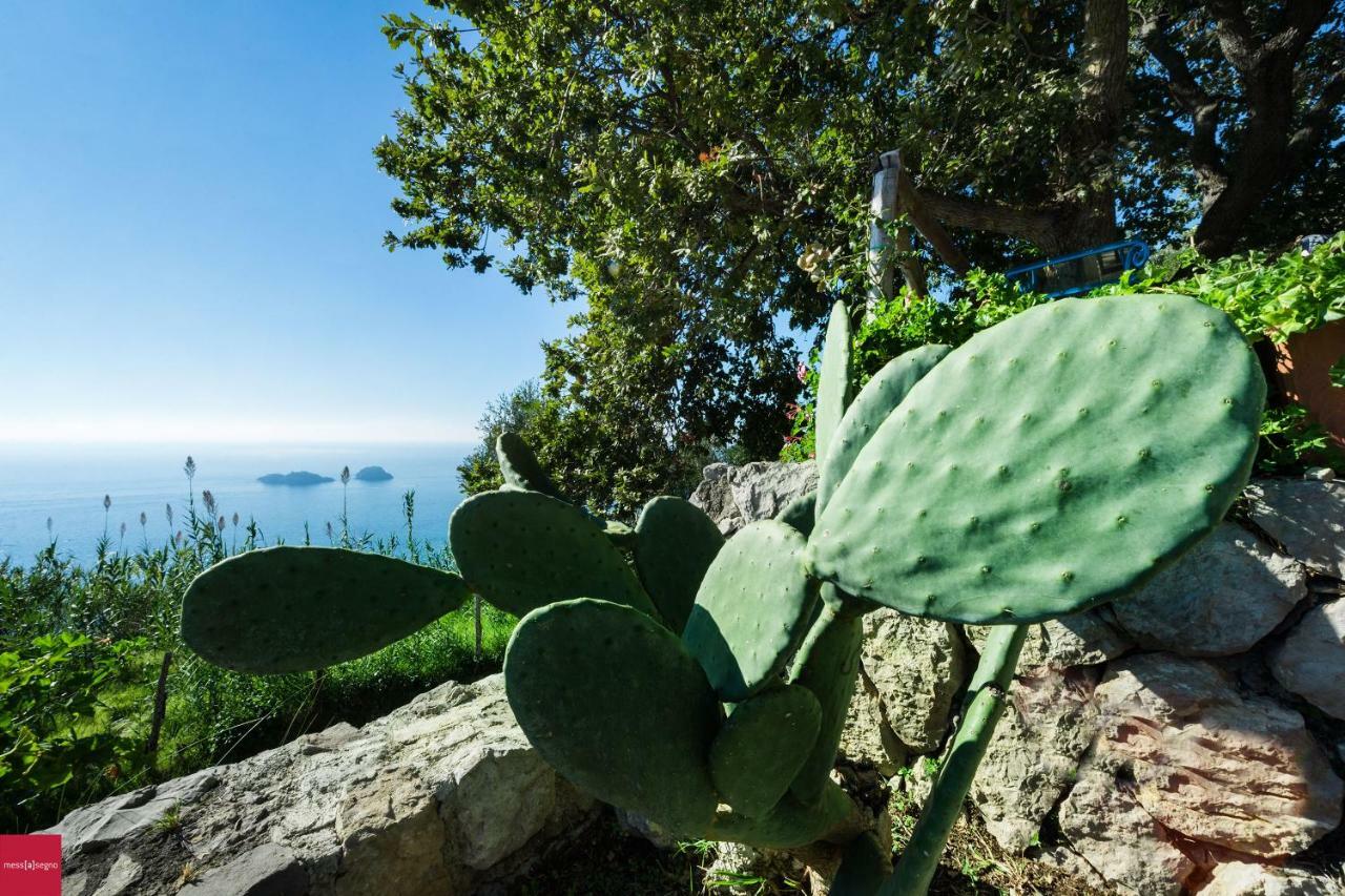 Ferienwohnung Il Nibbio Piano di Sorrento Exterior foto